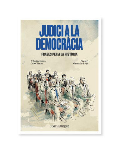 Judici a la democràcia