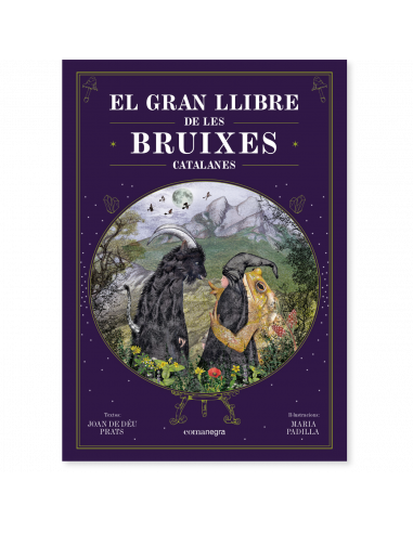 El gran llibre de les bruixes catalanes